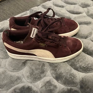 Puma Suede Classic skor - stl 37 - ✨ Nypris: 799 kr   Otroligt snygga och tidlösa sneakers – sportiga men samtidigt eleganta. Storlek: 37  säljs billigt då de inte längre används.🩷  Skorna är välanvända och har märken på insidan (se bild), men är fortfarande i fint skick för vardagsbruk.  #Puma #PumaSuede #PumaSneakers #SneakersTillSalu #Säljes #Skor37 #SecondHandSneakers #SneakerSale #PumaStyle #Streetwear #SneakerAddict #EverydayStyle #CasualLook #FashionSneakers #PumaLover #SneakerCommunity #UrbanStyle #SportyStyle #BekvämaSko
