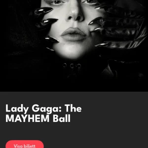 Lady Gaga Mayhem Ball Tour - Golden Circle biljett för 2600kr 15 oktober, pris kan diskuteras