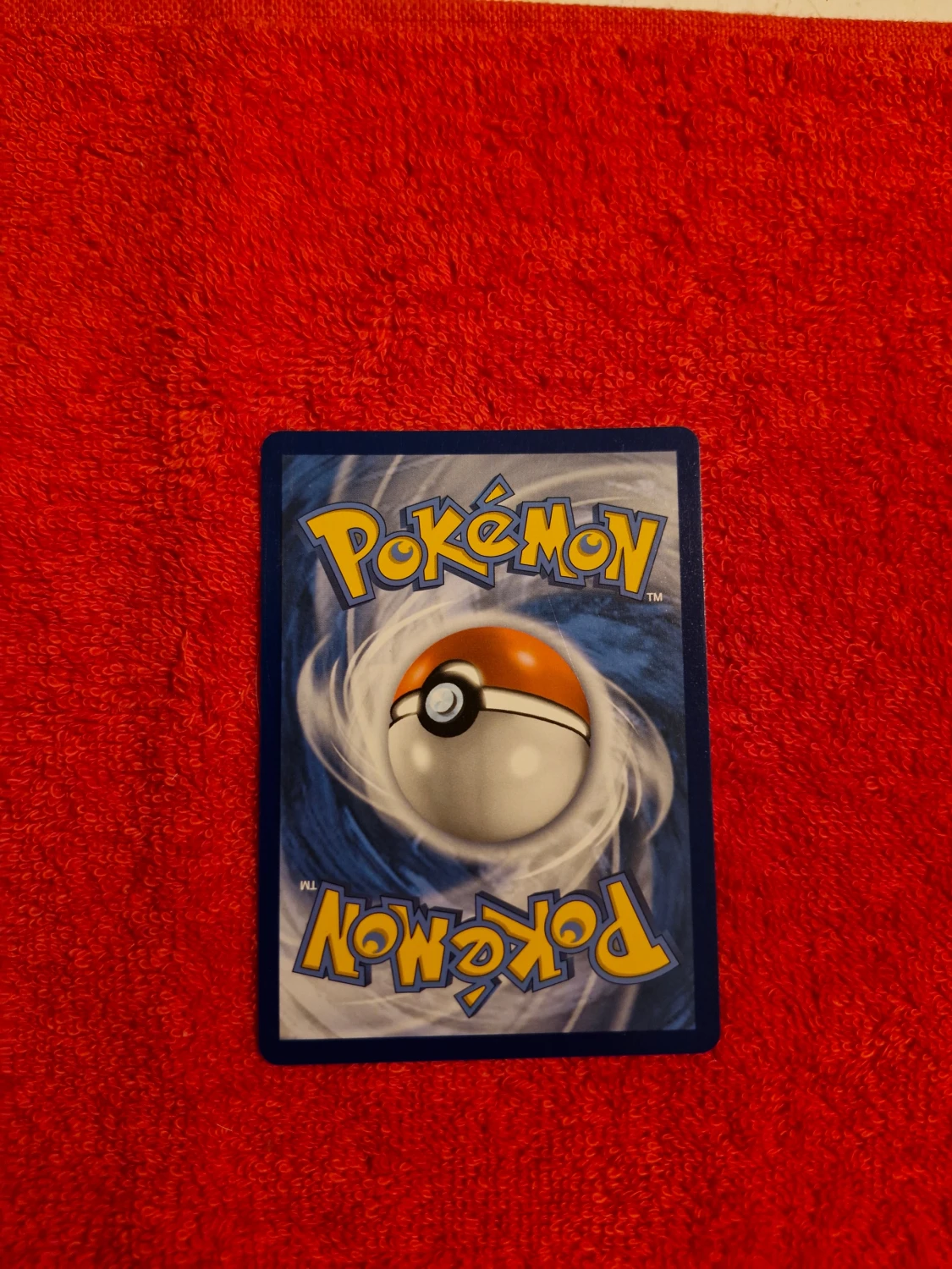 Ditto V (BUDA!!!) - 1