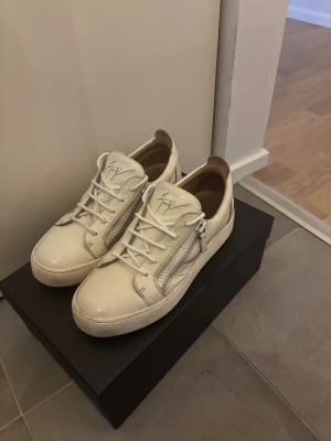 Guiseppe zanotti skor - Ett par snygga guiseppes som är använda men välbevarade. Köpta från deras hemsida.