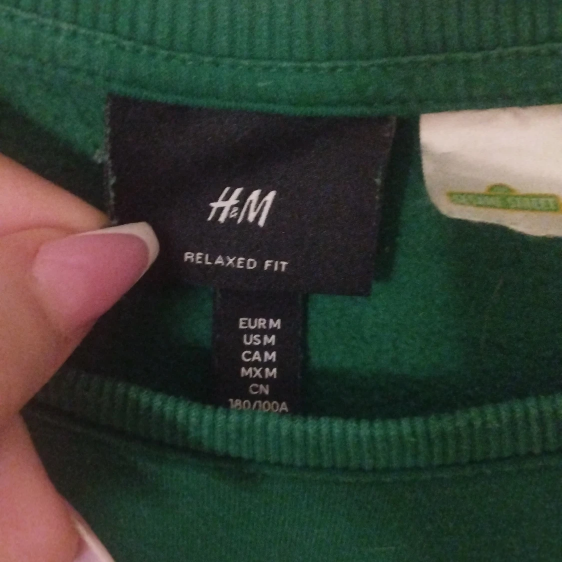 Grön Sesame Street sweatshirt H&M - 2
