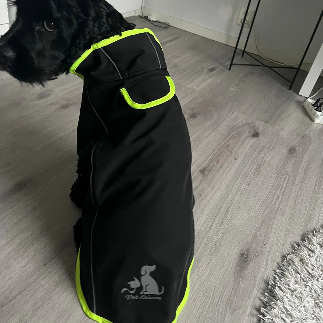 Svart regnjacka till hund från Pet Leisure - 1