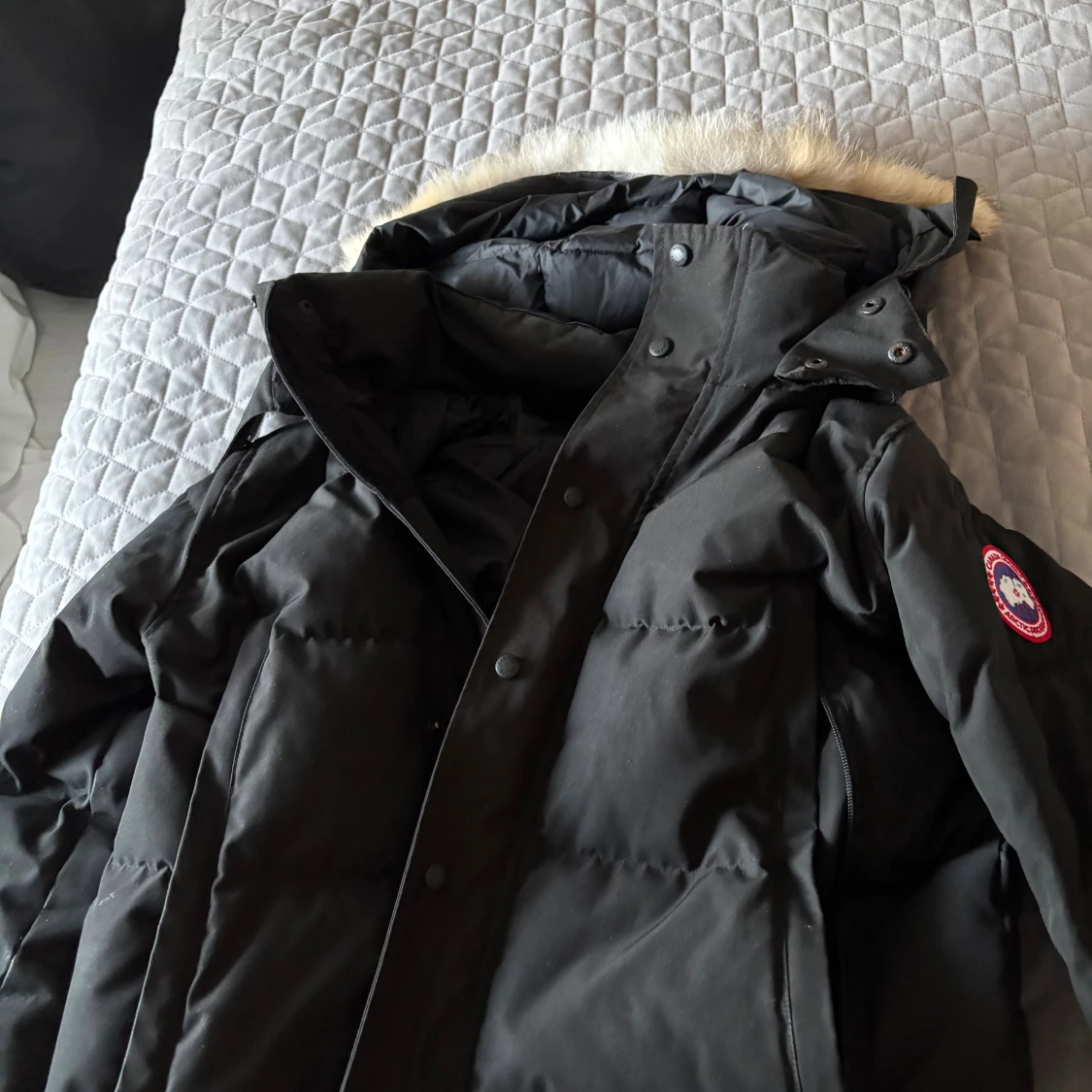 Svart Canada Goose wyndham - 1