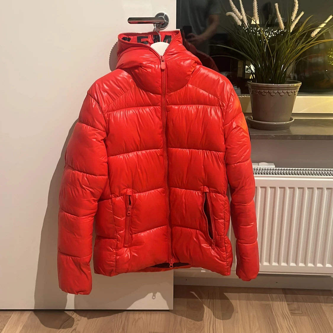 Save the duck Edgard