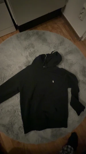 Ralph Lauren hoodie  - Säljer min Ralph Lauren hoodie passar inte mig längre det går lite mot M storleken pris kan diskuteras 