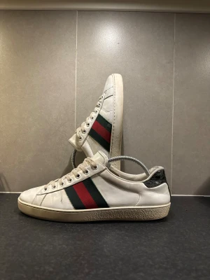 Gucci Ace - I använt skick men har mycket kvar att ge | en liten defekt annars bara tecken på användning | givetvis autentiska | inget og | Priset är inte hugget i sten👌