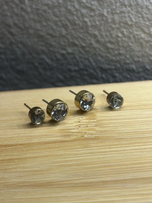 Örhängen  -  ett par örhängen med stenar.