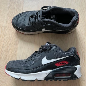 Airmax 90 - Användt många gånger först till kvarn.