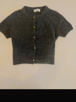 Mörkgrå stickad kofta från H&M - Kortärmad, mörkgrå stickad kofta från H&M med guldiga knappar framtill. Koftan har ribbade kanter och en mjuk, mysig känsla. Perfekt att slänga över en topp för en chill look.