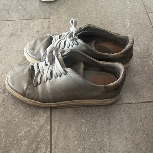 Grå sneakers i skinn med snörning - Gråa arigato sneakers i skinn med klassisk design och rund tå. Skorna har breda gråa skosnören och en vit sula som ger en stilren look. Perfekta för dig som gillar en enkel och clean stil. Passar till det mesta och är lätta att matcha.