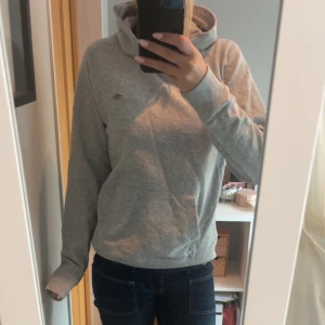 Grå hoodie  - Jättefin grå hoodie från Gant! Pris kan diskuteras vid snabb affär!💗💗
