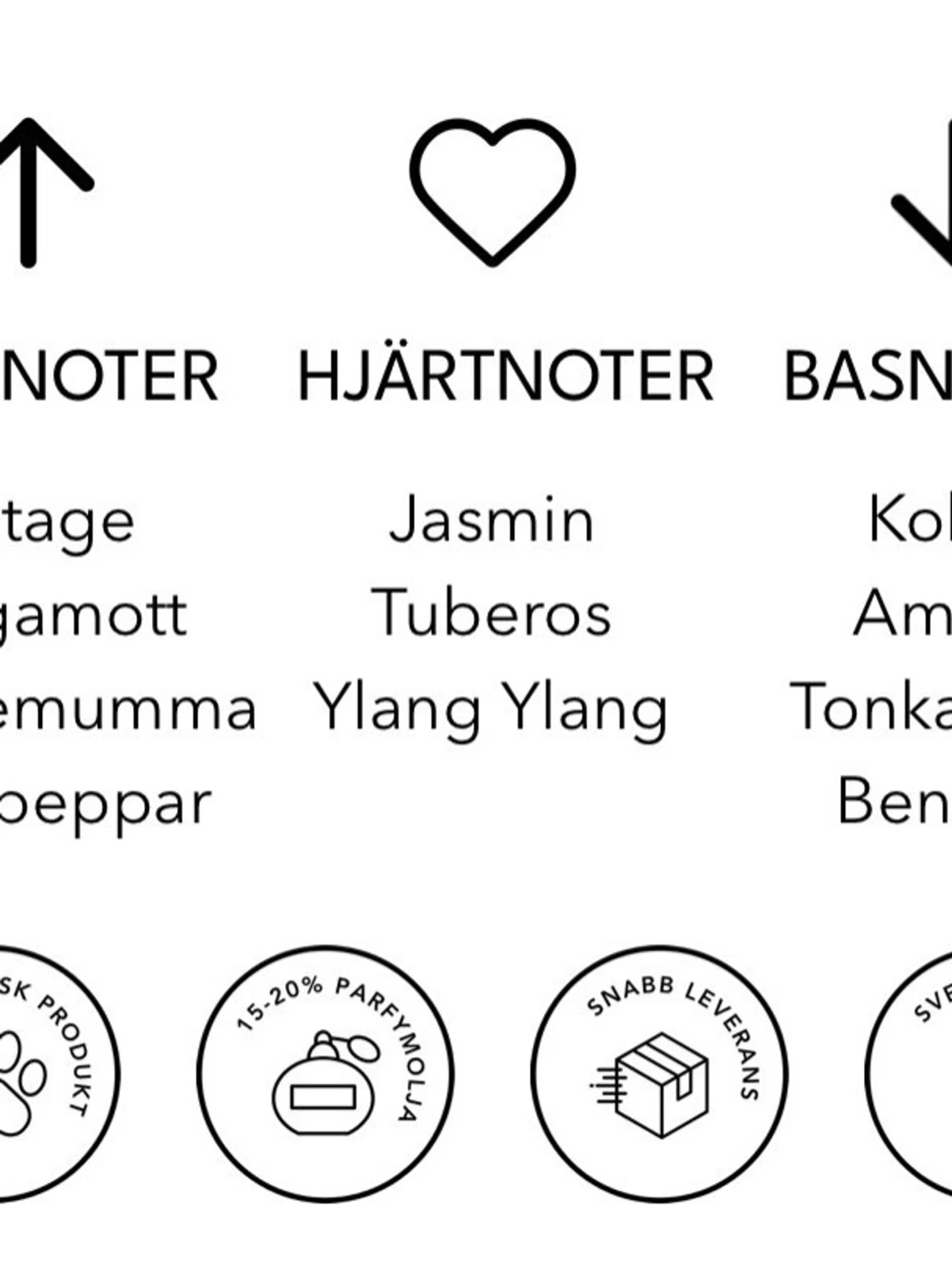  Coco On The Beach - 3