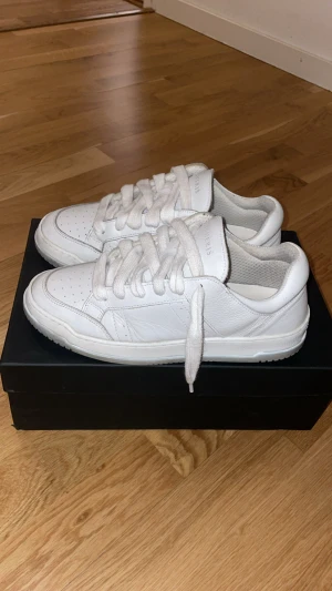 Vita sneakers från Numeris - Snygga vita sneakers från Numeris med klassisk låg siluett och rund tå. Skorna är tillverkade i skinn och har tjocka vita snören samt perforerade detaljer på tån för extra ventilation. Kommer med originalkartong och dustbag.
