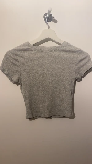 Grå ribbad croppad topp FSBN Sister - En enkel och stilren grå croppad topp från FSBN Sister i ribbad bomull. Kortärmad modell med rund hals och tight passform. Perfekt till jeans eller kjol för en chill look.