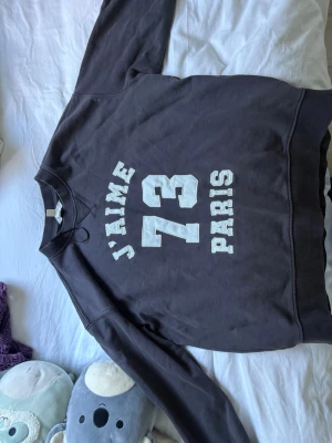 Trendig sweatshirt med tryck - Super cool mörkgrå collegetröja m fastsytt tryck på framsidan, väldigt bra passform o skön!! Köpt på arkivet men från HM🩷🩷