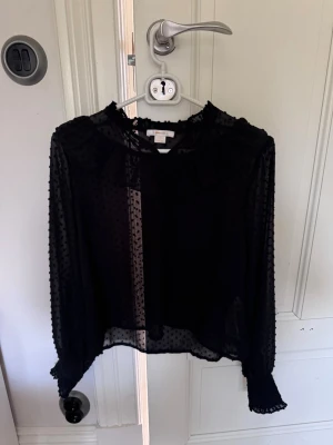 Svart transparent blus med prickar - Säljer en svart transparent blus med små sammetsprickar och volangdetaljer vid halsen. Blusen har långa ärmar med resår och volang vid ärmslut. 
