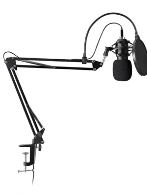 Gaming mikrofon med arm  - Säljer en svart mikrofon med tillhörande armstativ. Mikrofonen har puffskydd och ansluts med kabel. Perfekt för streaming, podd eller gaming. Armen är i metall och fästs enkelt på skrivbordet. Knappt använd, fungerar utan konstigheter!