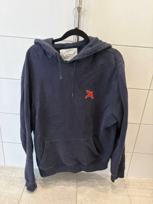 Axel arigato hoodie - Axel arigato godis i strl m, den är i bra skick och går inte köpa ny längre, skriv vid frågor och funderingar 