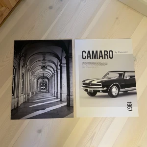 2 Posters | DESENIO. - Säljer två svartvita posters från desenio, en med ett foto av en klassisk arkadgång med valv och lampor, och en med en Chevrolet Camaro 1967 och text. Perfekt för dig som gillar retro och stilren inredning. (OBS: fraktas ihoprullade).