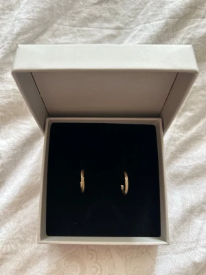 Guldiga örhängen  - Säljer dessa jättefina guldiga örhängen, så användbara passar till allt🥰