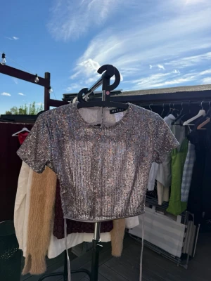 Glittrig topp med öppen rygg - Säljer en glittrig croppad topp från Motel i silver med korta ärmar och rund hals. Toppen har paljetter över hela ytan, snörning i midjan och öppen rygg🩶