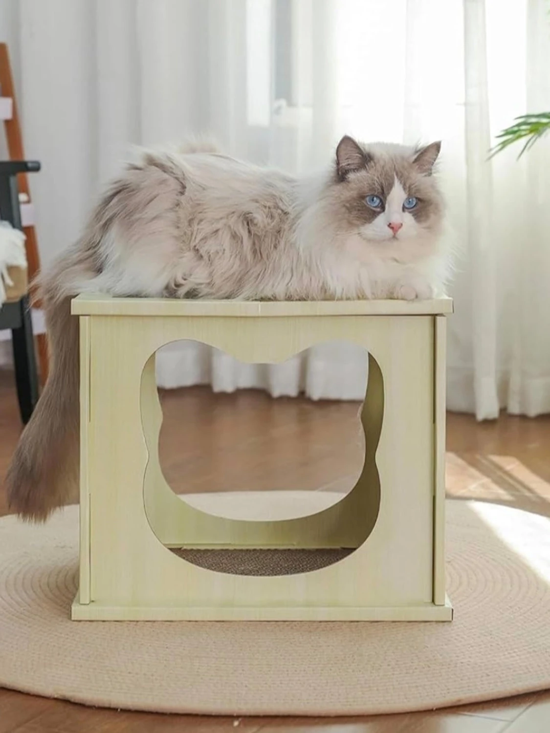 Kattlåda NY