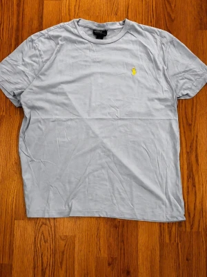 Ralph Lauren t shirt - Säljer min gråa polo Ralph Lauren t shirt i storlek M! Den är i riktigt fint skick, skickar snabbt!📦🚛