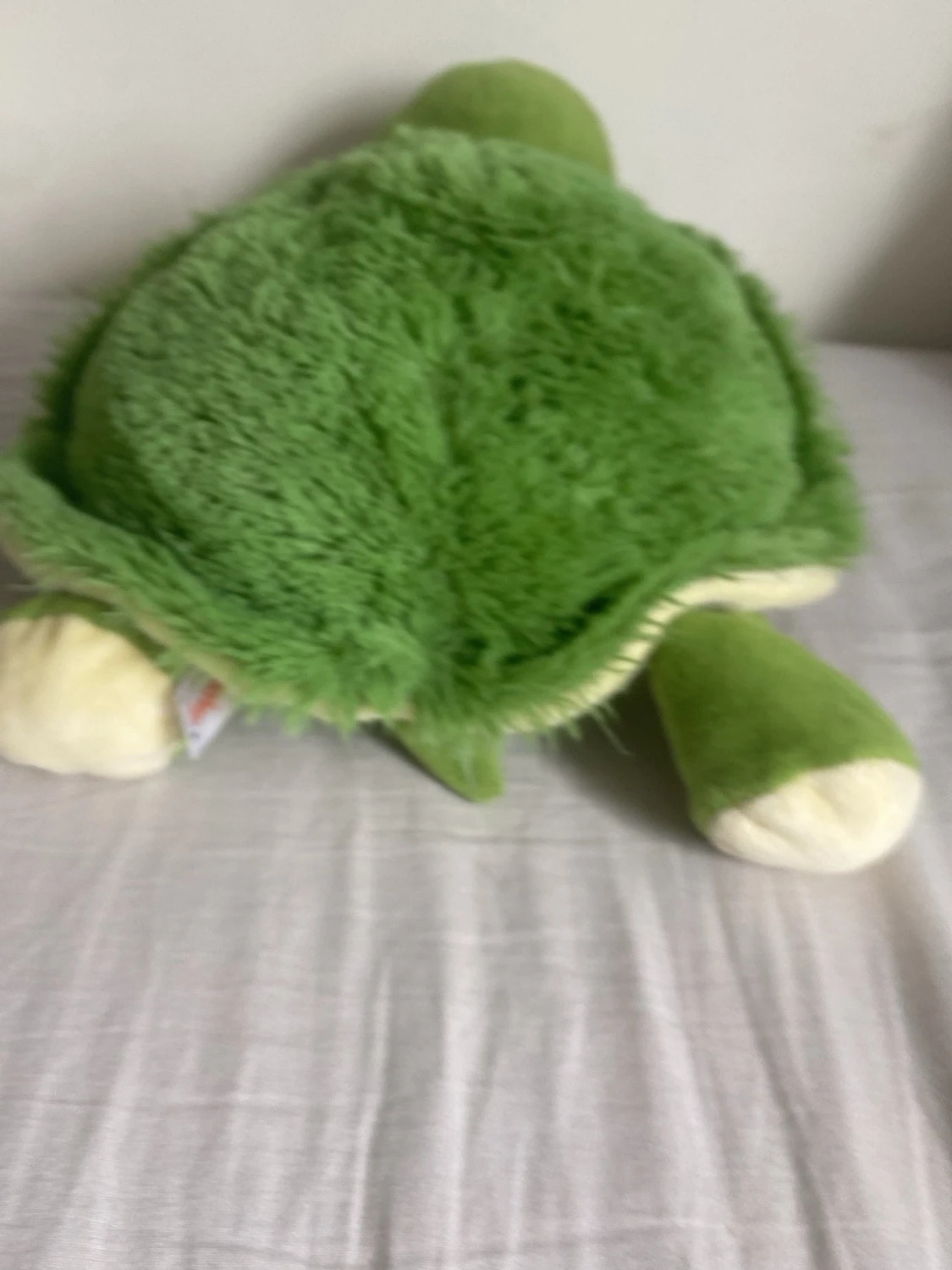 Gosedjur sköldpadda grön plysch - 1