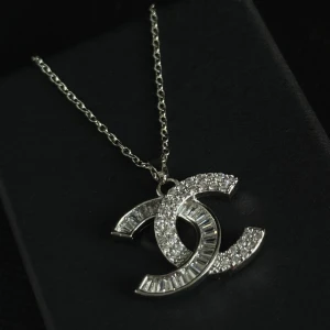 Halsband i stål - Helt nytt halsband i rostfritt stål.