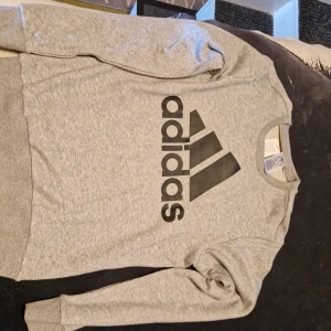 Grå hoodie från Champion - Säljer en snygg grå hoodie från Champion med logotypen tryckt på bröstet. Tröjan har en praktisk känguruficka och justerbar huva med snören. Perfekt för en avslappnad stil.