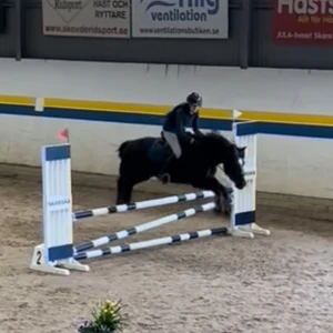Mörkgrön ridkavaj från Equestrian stockholm - Snygg mörkgrön ridkavaj från Equestrian stockholm med figurnära passform. Kavajen har klassisk krage, knäppning med fyra knappar framtill och diskreta dragkedjor vid fickorna. Långärmad modell i stretchigt syntetmaterial, perfekt för tävling. Älskar denna kavaj och hoppas nu att den får en bra ägare som tar hand om den! Många fina minnen i denna kavaj!💕 orginal pris 3300!💕