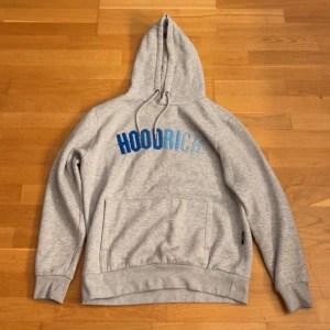 Grå HOODRICH hoodie med blå text - Snygg grå hoodie från HOODRICH med blå och ljusblå text på bröstet. Klassisk känguruficka, huva med snörning och ribbade muddar. Perfekt för chill dagar eller streetwear-stil. Mjuk och skön bomullsblandning.