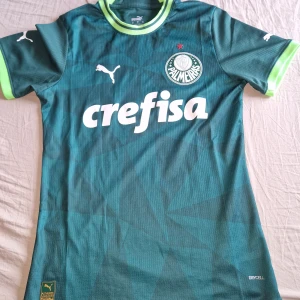 Palmeiras grön matchtröja Puma - Snygg grön Palmeiras fotbollströja från Puma med klubbmärke och sponsortryck på bröstet. Tröjan har korta ärmar, ljusgröna detaljer vid ärmslut och krage samt diskret geometriskt mönster i tyget. Tillverkad i lätt och ventilerande material (DryCell).