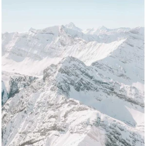 Arkivfoto  - Går ej att köpa 