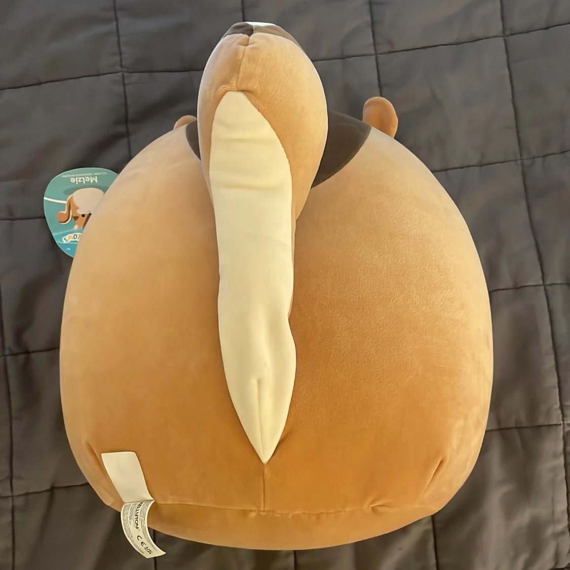 Squishmallow Melzie ekorre - 1