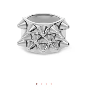 Edblads ring  - Jätte fin edblads ring nästan helt ny, inga tecken på användning. Säljer pågrund av att jag råkade dubbel köpa.