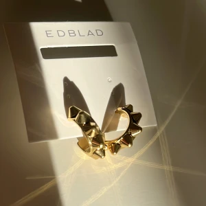 Guldörhängen från Edblad💞 - jag säljer de för att jag har redan ett par likadana. De är helt oanvända💞