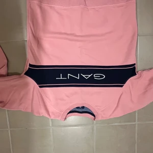 Rosa sweatshirt från GANT - Säljer en snygg rosa sweatshirt från GANT med en bred mörkblå rand och vit logga över bröstet. Tröjan har långa ärmar och en rund halsringning. Perfekt för en avslappnad stil.