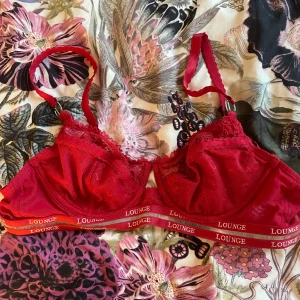 Röd spetsbh från Lounge - Snygg röd bralette från Lounge med spetsdetaljer och elastiskt band med logga. Modellen har tunna justerbara axelband och transparent mesh. Finns tillhörande trosor, därav högre pris. Vill du bara ha bhn får du gärna föreslå pris! 