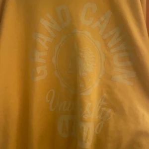 Gul sweatshirt - Cool gul sweatshirt med tryck från Grand Canyon University.🤗 Tröjan har en loose passform och materialet känns som bomull,  Perfekt för dig som gillar college-vibe och bekväma kläder i fint skick 🥰🥰