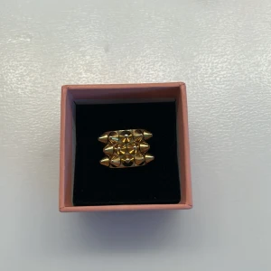 Bred guldfärgad ring med nitar - Säljer en guld Edblad ring i storleken 16.00 (xs) . Har använt den 2 gånger 