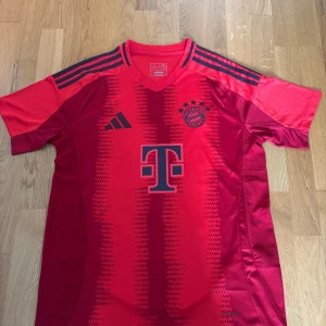 FC Bayern München Musiala tröja Adidas L - Tröjan är i L men är liten i storleken, passar för folk som har M!