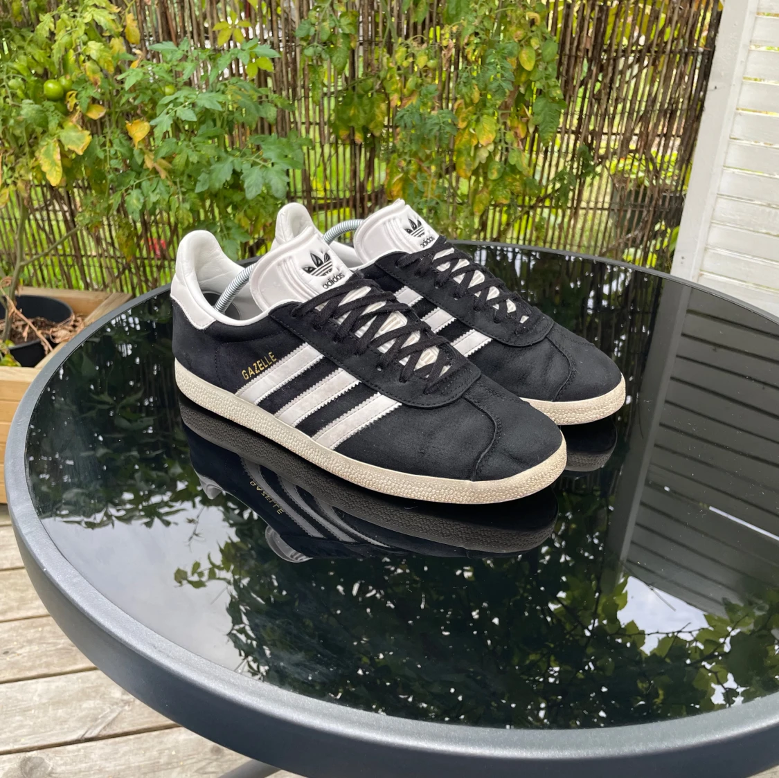 Adidas Gazelle - 2