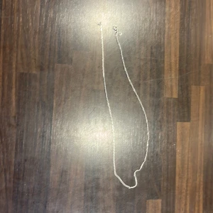 Tunt silverfärgat halsband - Snyggt och enkelt halsband i silverfärg med tunn kedja. Perfekt för dig som gillar minimalistisk stil och vill ha ett smycke som funkar till allt. Lätt att matcha med andra halsband eller bära solo för en clean look.