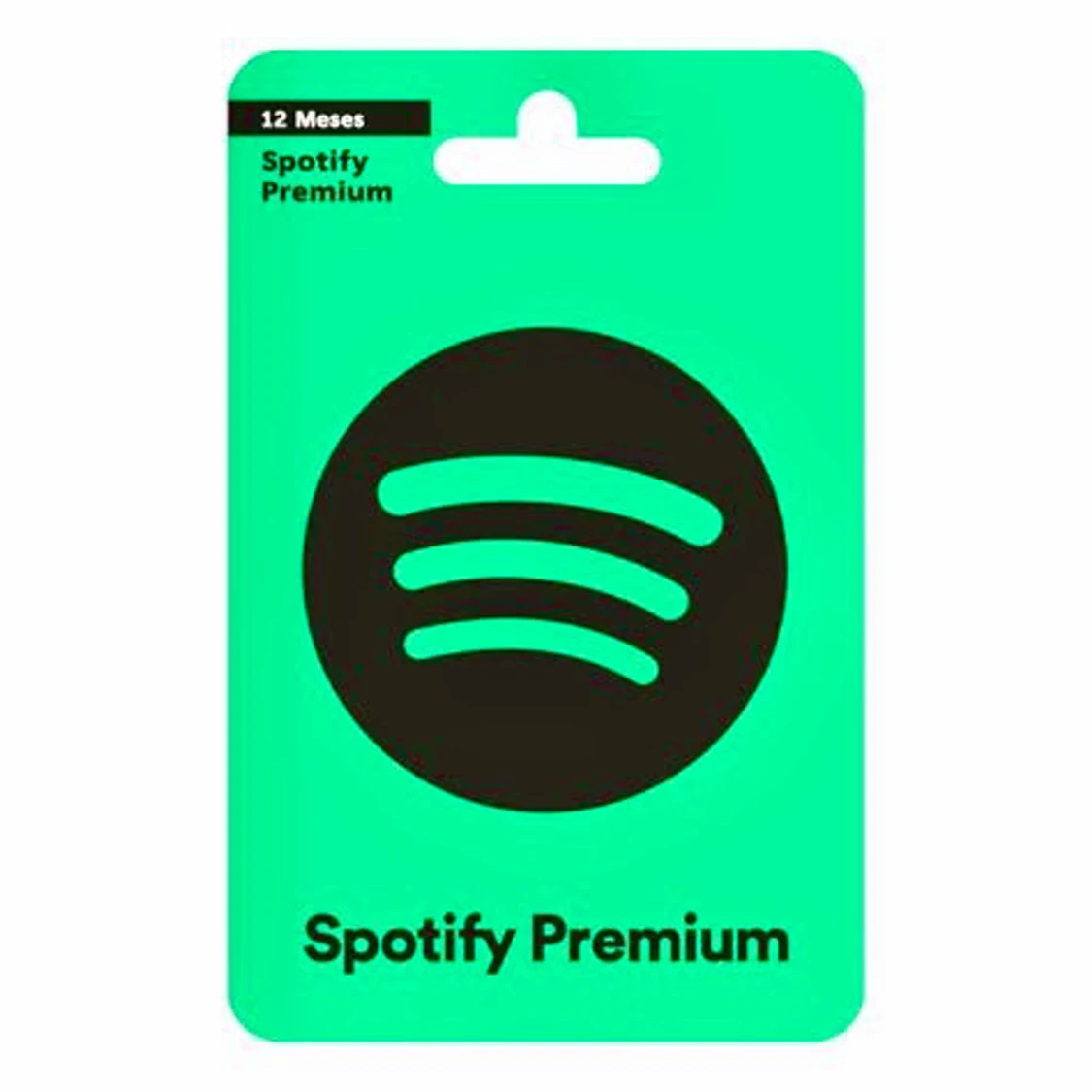 Spotify Premium presentkort 12 månader