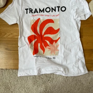 Vit TRAMONTO t-shirt med röd print XS - Vit t-shirt  i storlek XS med coolt grafiskt tryck i rött och beige framtill. T-shirten har korta ärmar, rund hals och är gjord i mjuk bomull. Perfekt för dig som gillar statement-plagg med unik design.