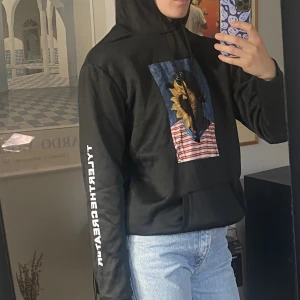 Tyler, The Creator hoodie - Säljer helt oanvänd Tyler, The Creator hoodie. Står L men är S/M. 