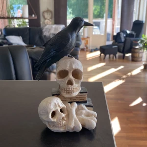 Halloween dekoration - Har ingen användning för den längre, så tänker sälja vidare. Den går på batteri med olika färger som lyser inifrån☺️