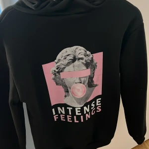 Svart hoodie - En svart hoodie med ett mönster på baksidan. Alldrig använt så den är för stor för mig. Skönt matreal, orginalpris 160kr. Den är i xs men är lite stor. Katthår på bilden men kommer tvätta och rålla så noga som möjligt innan den skickas. 