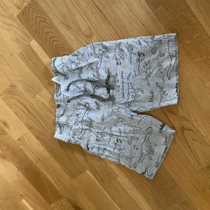 Dinosaurie skjorts barn  - Barn skjorts. För storlek se bilden. Bra skick. 